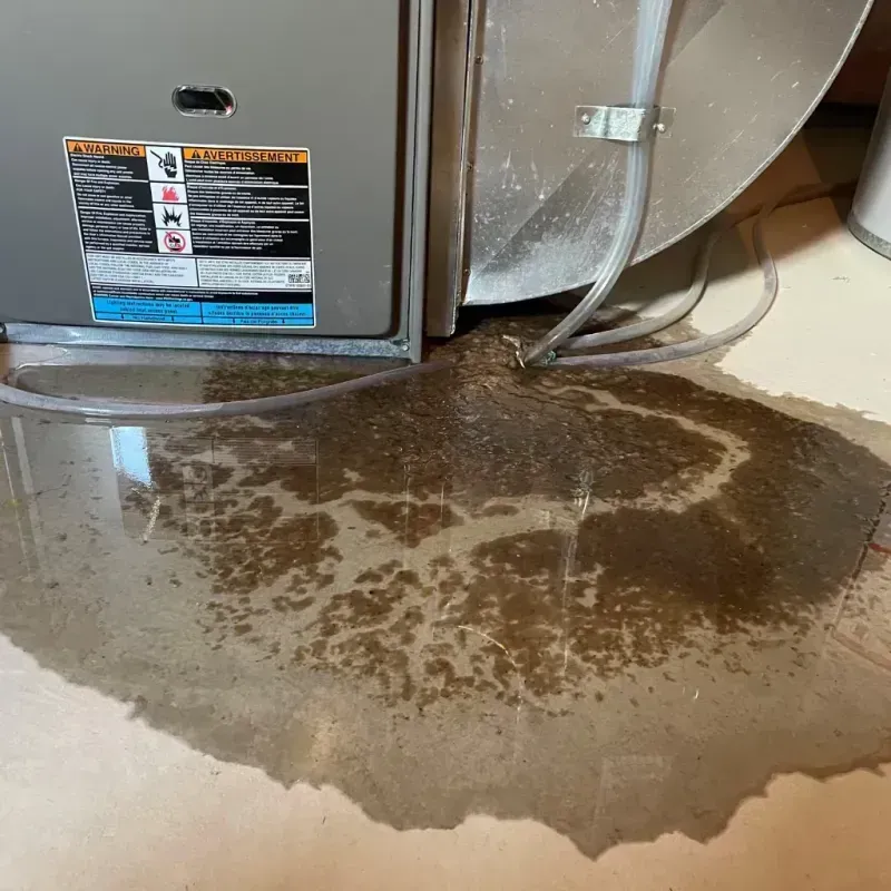 Appliance Leak Cleanup in Siskiyou County, CA